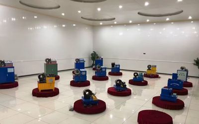 China Shanghai Fanying Machinery Technology Co., Ltd. Perfil de la empresa