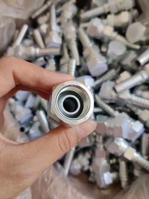 Diferentes materias primas Acero de carbono con rosca Bsp Accesorios de manguera hidráulica Acero inoxidable acopladores rápidos masculinos femeninos
